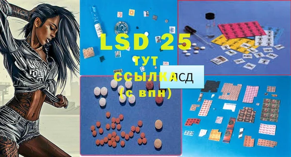 гашик Белоозёрский