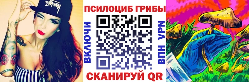 Псилоцибиновые грибы прущие грибы  Купить  Безенчук 